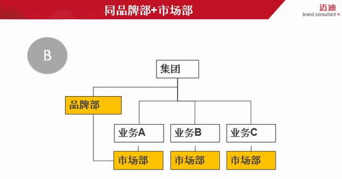 从品牌战略出发 构建科学品牌管理体系的路径与方法