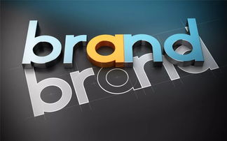 迈迪尚晓鸣 品牌管理十八载的探索与实践